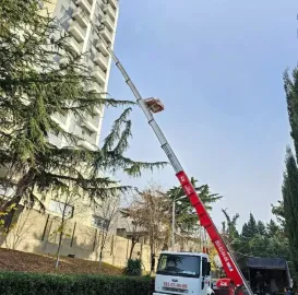 ამწე ლიფტი, ჟირაფი, პიონერკა