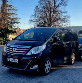 მინივენით მომსახურეობა