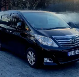 მინივენით მომსახურეობა