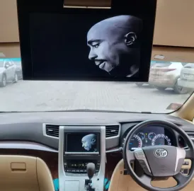 მინივენით მომსახურეობა