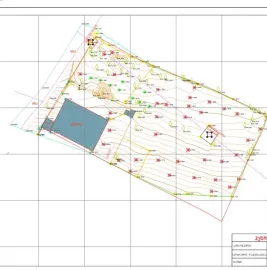 გეოდეზია/ტოპოგრაფია