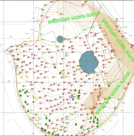 გეოდეზია/ტოპოგრაფია