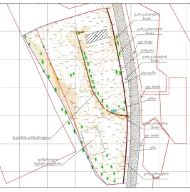 ტოპოგრაფია რუსთავი