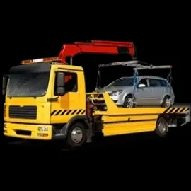 ევაკუატორით მომსახურება - რიკოთი