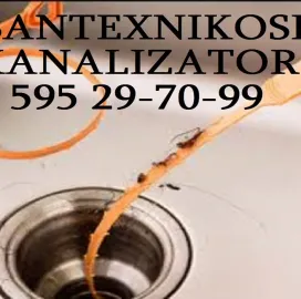 SAMZAREULOS MILIS GAWMENDA 595297099 GAMODZAXEBIT 24 SAATI