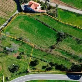 ორთოფოტოსა და ტოპოგრაფიული გეგმის მომზადება