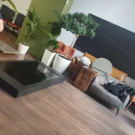 Clean house-დასუფთავების კომპანია 