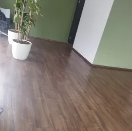 Clean house-დასუფთავების კომპანია 