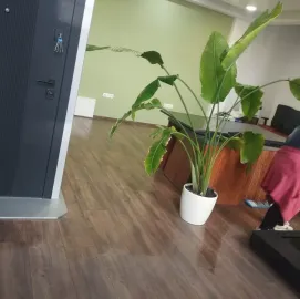 Clean house-დასუფთავების კომპანია 