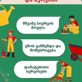 ეზოს სრულყოფილი მოვლა და სერვისი