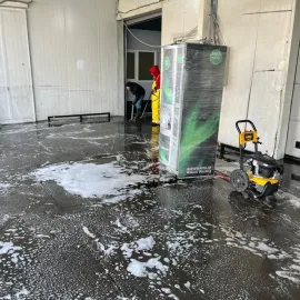 ეზოს სრულყოფილი მოვლა და სერვისი