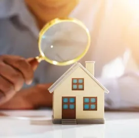 საშემფასებლო კომპანია