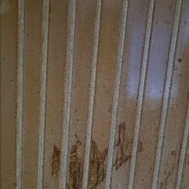 ბინების გენერალური და რემონტის შემდგომი დასუფთავება