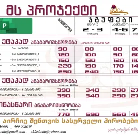 MS Project_პროჯექტი _ შემსწავლელი კურსები