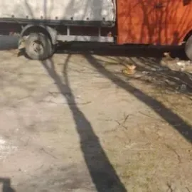 ცხოველების ტრანსპორტირება და სხვა