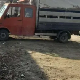 ცხოველების ტრანსპორტირება და სხვა