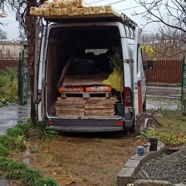 ტვირთის გადაზიდვა 