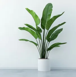 როგორ შექმნათ 