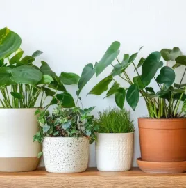 როგორ შექმნათ 