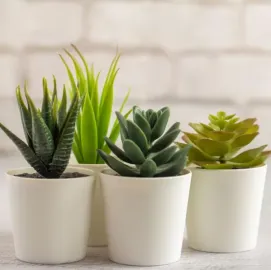 როგორ შექმნათ 