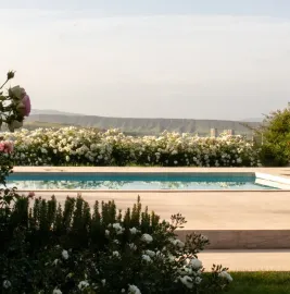 ფოტო და ვიდეო კონტენტის შექმნა კომერციული, კორპორატიული და პერსონალური პროექტებისთვის