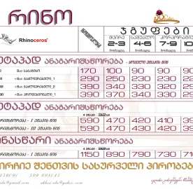 რინო - Rhinoceros _ კურსები