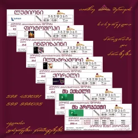 MS Project_პროჯექტი _ კურსები