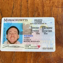 visas, biometric passport ID cards 