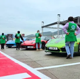 დიასახლისთა ჯგუფი დასუფთავების სფეროში