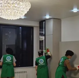 დიასახლისთა ჯგუფი დასუფთავების სფეროში