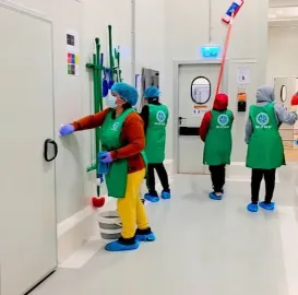 დიასახლისთა ჯგუფი დასუფთავების სფეროში