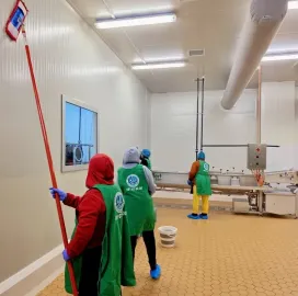 დიასახლისთა ჯგუფი დასუფთავების სფეროში