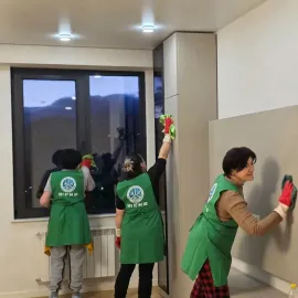 დიასახლისთა ჯგუფი დასუფთავების სფეროში