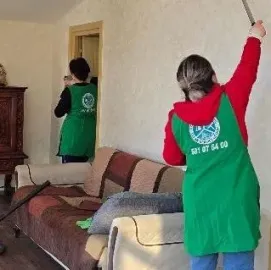 დიასახლისთა ჯგუფი დასუფთავების სფეროში