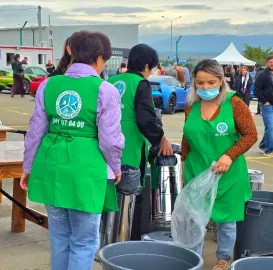 დიასახლისთა ჯგუფი დასუფთავების სფეროში