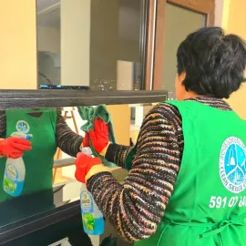 დიასახლისთა ჯგუფი დასუფთავების სფეროში