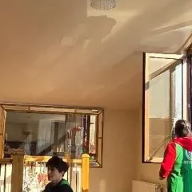 დიასახლისთა ჯგუფი დასუფთავების სფეროში