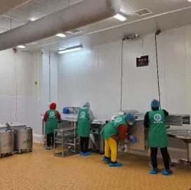 დიასახლისთა ჯგუფი დასუფთავების სფეროში