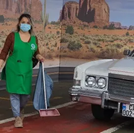 დიასახლისთა ჯგუფი დასუფთავების სფეროში