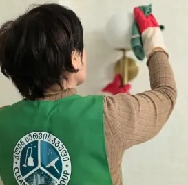 დიასახლისთა ჯგუფი დასუფთავების სფეროში