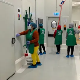 დასუფთავება