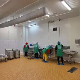 დასუფთავება