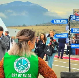 დასუფთავება