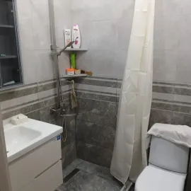 აბაზანის რემონტი/კაფელ-მეტლახი