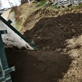 შავი მიწა და ასევე დამწვარი საქონლის ნაკელი მოტანით