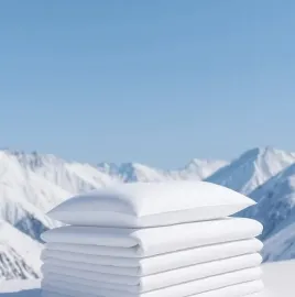 პროფესიონალური სამრეცხაო მომსახურება