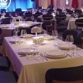 პროფესიონალური სამრეცხაო მომსახურება