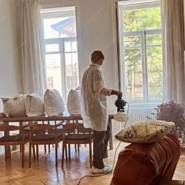 მღრღნელების განადგურება (დერატიზაცია)