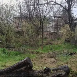 ხეების მოჭრა / ეზოების გასუფთავება / სამშენებლო ნარჩენების გატანა / ავეჯის გადაზიდვა / დემონტაჟი