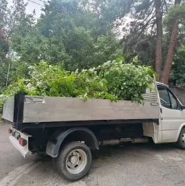 ხეების მოჭრა / ეზოების გასუფთავება / სამშენებლო ნარჩენების გატანა / ავეჯის გადაზიდვა / დემონტაჟი